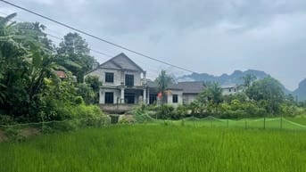 alo ngay em đất đẹp giá cực rẻ chính chủ cần tiền muốn bán gấp 676m 