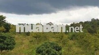 siêu phẩm ôm trọn quả đồi Phường Eakao
