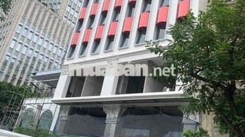 CHO THUÊ TÒA NHÀ CAO CẤP – 33C-D-E NGUYỄN BỈNH KHIÊM, P.ĐA KAO, Q.1