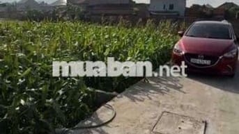 💥 MẢNH ĐẤT VUÔNG ĐẸP 💲 RẺ HƠN CÁC LÔ BÊN CẠNH CẢ TRĂM triệu 👉 TỰ NH