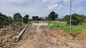 Đất Nền Mịn to, Trù Hựu giá đầu tư vô cùng hấp dẫn