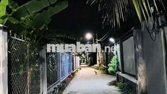 sieu phẩm nhà Tân Cổ Điển TRUNG AN, Sân oto, sân vườn đủ công năng