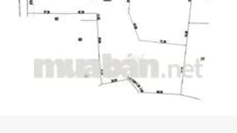 Bán đất xã Phan .H Dương Minh Châu.DT.32.977m2 có thổ 1000m giá 44 tỷ