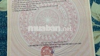 cần bán lô đất thổ cư đường ô tô tại xã An Thới đông cần giờ tphcm