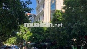 MẶT PHỐ QUYỀN LỰC-KINH DOANH ĐỈNH CAO- PHÚ LƯƠNG-HÀ ĐÔNG-HÀ NỘI  ⏩️💯Dt