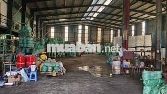 CHO THUÊ XƯỞNG 1700M, BÌNH MỸ, CỦ CHI