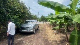 bán đất vườn trái cây Bình Lộc Long Khánh