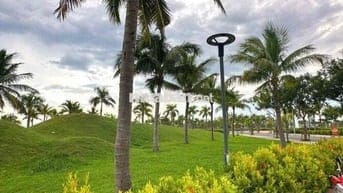 Bán cặp đất liền kề đường 7m5  Cồn đâu 23 kẹp vệt cây xanh . Gần Nguyễ