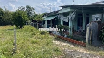 Bán gấp 172m2 mặt tiền đường nhựa trung tâm xã Thái Mỹ Củ Chi 850triệu