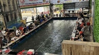 Sang nhượng hồ câu Tôm Q12 ngay cầu THAM LƯƠNG