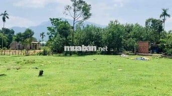Mảnh vườn có sẵn đất ở mặt ngang 38m có sẵn đất ở