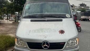 Mercedes Benz Sprinter 2010 Executive 313 - 185000