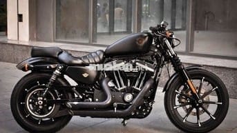 Thanh Motor cần bán Harley Davidson Iron 883 2021