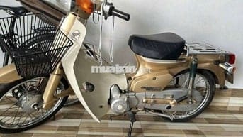 Cud zin giấy đầy đủ