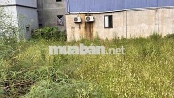 Bán 80m2, đường 5m Thổ Cư tại Hồng Vân, Thường Tín, Hà Nội