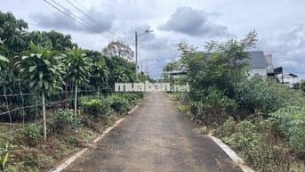 211,8m2 sẵn thổ cư ngay trung tâm Tứ Quý - Lộc An - Bảo Lâm chỉ 900tr
