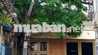 Cho Thuê Nhà Hẻm Xe Hơi Hoàng Hoa Thám, Phường 6, Quận Bình Thạnh