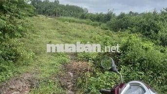 Chính chủ cần bán đất tại đường Hồ Chí Minh, 6 tỷ, 1646,7m2, sổ riêng.