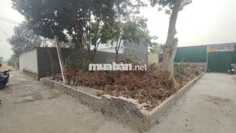 Cơ Hội Đầu Tư Cực Hiếm - Lô Góc 2 Mặt Tiền Gần Vành Đai 4 - Kim Hoa,