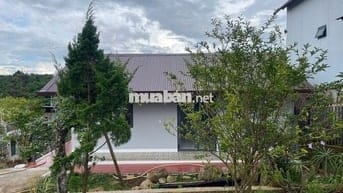 Nhà vườn nghỉ dưỡng 516,6m2 -170m thổ cư – đường lớn, sổ sẵn,giá 2.4tỉ