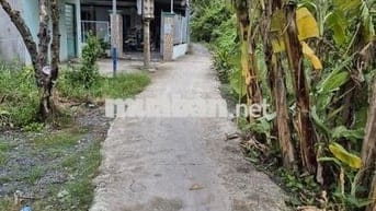 Cần bán 141m2 đất thổ đường liên xã Phước Lý - Mỹ Yên
