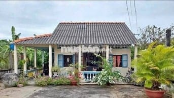 Bán đất tại Quang Trung, Thống Nhất, Đồng Nai, 980 triệu, 1300 m2