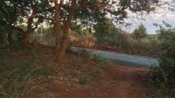 Bán đất tại Đường Suối Chồn - Bàu Cối, Xã Bảo Quang, Long Khánh