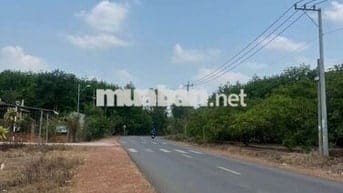 500triệu/lô Tân Hưng - Bình Phước