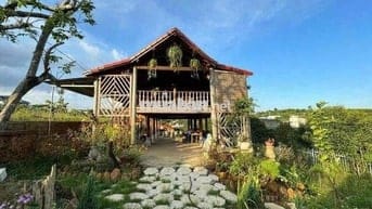 Homestay nhà gỗ ngay trung tâm P. Lộc Sơn Bảo Lộc DT: 520m2 - TC 270m