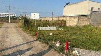 Cách QL50 60m ,120m2 thổ, thị trấn Cần Đước. 444tr bao sổ , ngộp giá.