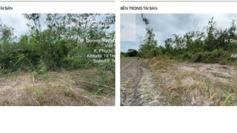 BÁN ĐẤU GIÁ TS VIB L1_XÃ PHƯỚC NINH, HUYỆN DƯƠNG MINH CHÂU, TÂY NINH