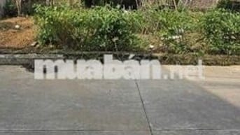 🎯 🎯Hoa Hậu 56m2 Ninh Cầm, Tân Dân, Đường Trục 6m - Thông ô Tô