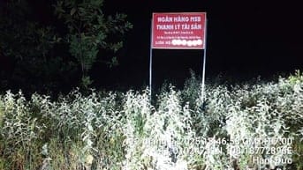 Công ty đấu giá hợp danh Sao Việt 