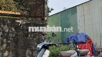 HONDA CUB C125 2024