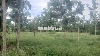 Can ban cho khach lam nha vuon nghi duong
