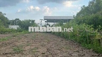 BÁN ĐẤT THỔ CƯ GIÁ TỐT – XÃ TÂN TẬP, HUYỆN CẦN GIUỘC, LONG AN
