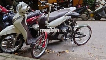Bán shmode trắng