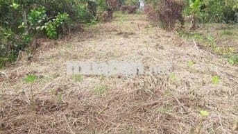 Đất CLN, diện tích 580m2, phường Hưng Thạnh, Cái Răng