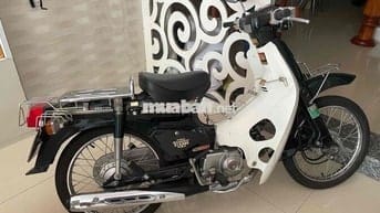 Xe cub 50cc