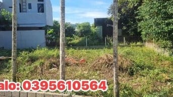 ✅LÔ ĐẤT ĐẸP- HÒA XUÂN 219m² – NGANG 13.5M NỞ HẬU - OTO THÔNG - CHỈ 375
