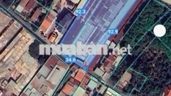 BÁN 3522M2 ĐẤT - 2229M2 THỔ CƯ - SẴN 200 PHÒNG TRỌ !