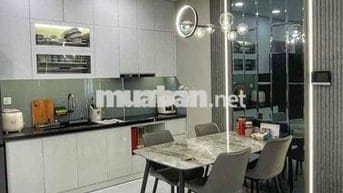 Căn hộ 1PN Full nội thất 9tr, cc The Pegasuite 2, p6, q8