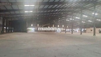 Cần bán đất xưởng SKC 1 lần 2053 tại Bình Chuẩn Thuận An Bình Dương