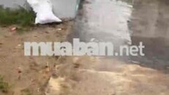Đất ở đô thị Tại Điện Nam Bắc (cũ) giá rẻ cần bán nhanh