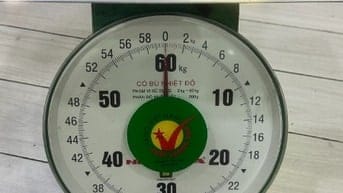 Cần bán cân Nhơn Hoà 60kg mới 90% tại quận 11