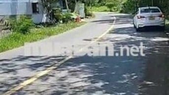 Bán vườn 1500m2 mặt tiền Nguyễn Văn Tạo, Xã Hiệp Phước, Nhà Bè