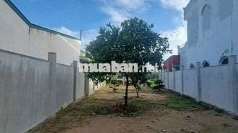 chính chủ bán lô đất MT Đ Tân Long,Tân Nhựt , Bình Chánh giá 1tỷ 530