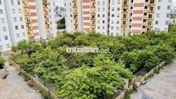 Bán căn chung cư Nest Home view pháo hoa quốc tế