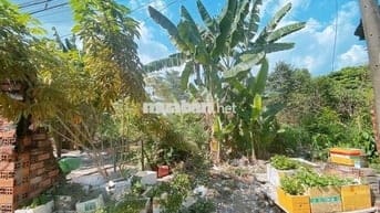 CHỦ GIẢM MẠNH GIÁ CÒN 37 TỶ🔥 ĐẤT 3 MẶT HẺM — Ô TÔ VÀO TẬN NƠI