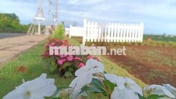 THANH LÝ GẤP ĐẤT THỔ CƯ MT QUỐC LỘ 20 KDC HIỆN HỮU, DT300M2/650 TRIỆU